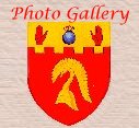 [PHOTO GALLERY]