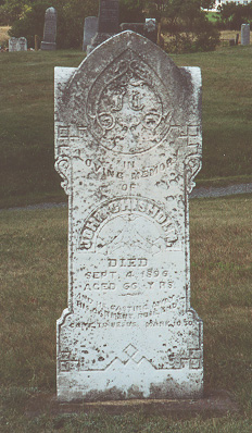 [Headstones Photograph]