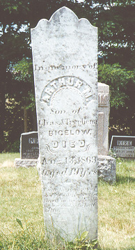 [Headstones Photograph]