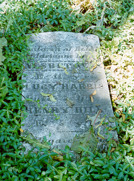 [Headstones Photograph]