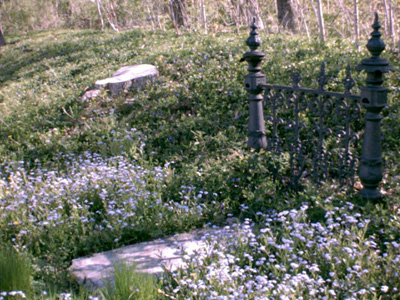 [Headstones Photograph]