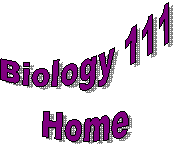 Biology 111
Home
